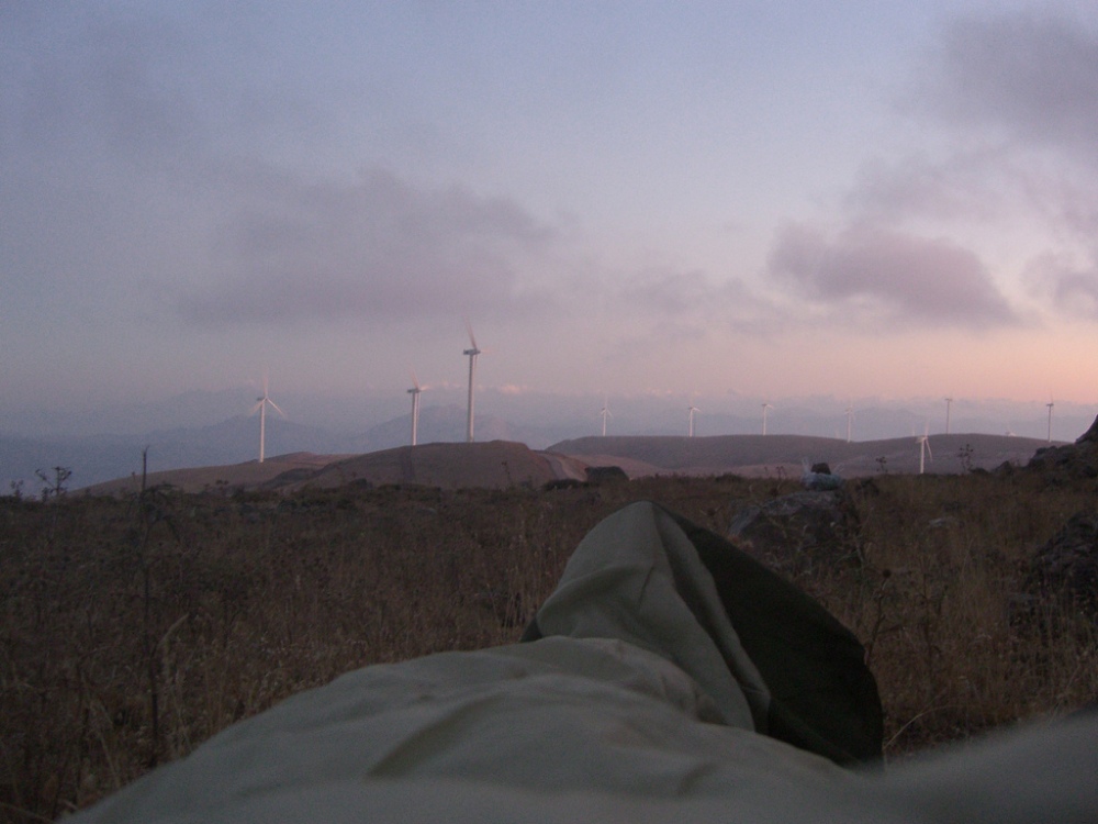 Looking the wind turbines as I wake up
